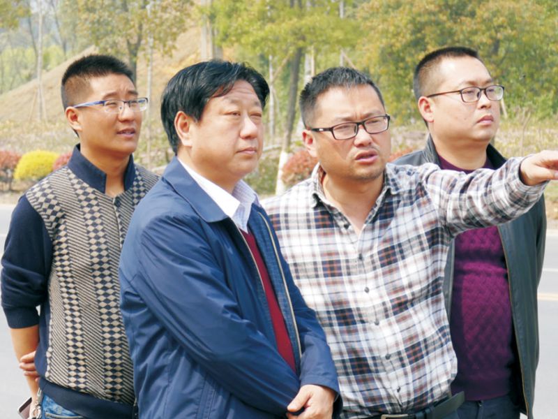 金沙bjs线路检测中心园林绿化维护